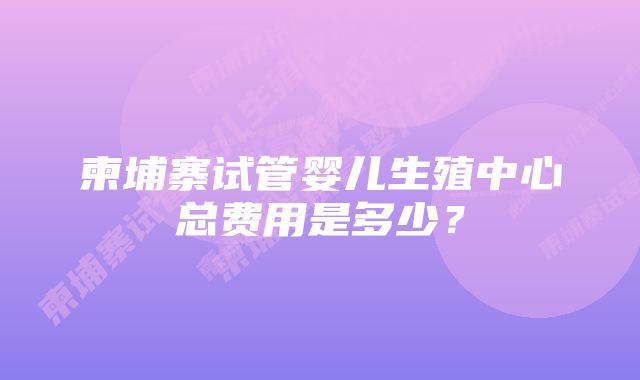 柬埔寨试管婴儿生殖中心总费用是多少？