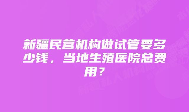 新疆民营机构做试管要多少钱，当地生殖医院总费用？