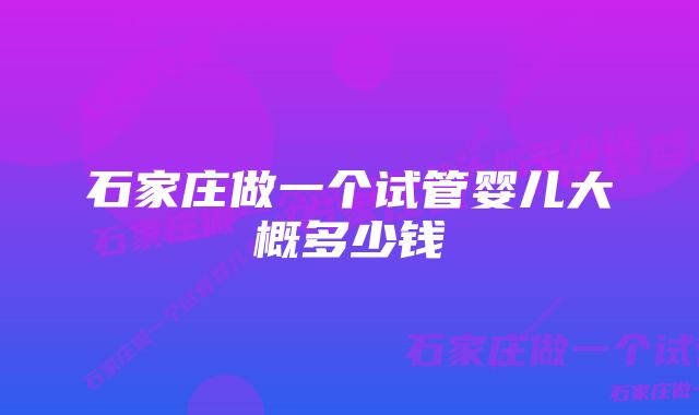 石家庄做一个试管婴儿大概多少钱