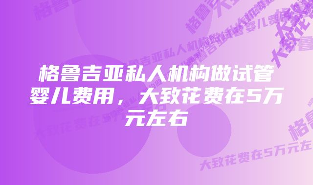 格鲁吉亚私人机构做试管婴儿费用，大致花费在5万元左右