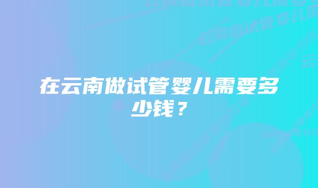 在云南做试管婴儿需要多少钱？