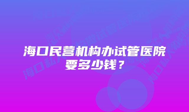 海口民营机构办试管医院要多少钱？