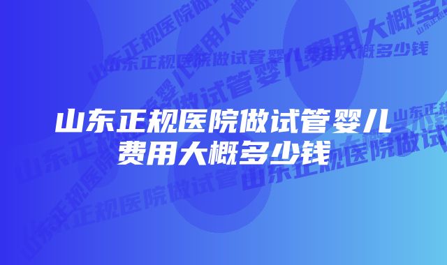 山东正规医院做试管婴儿费用大概多少钱