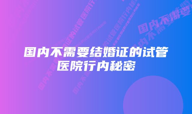 国内不需要结婚证的试管医院行内秘密