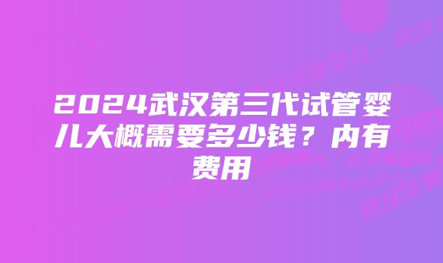 2024武汉第三代试管婴儿大概需要多少钱？内有费用