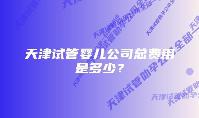 天津试管婴儿公司总费用是多少？