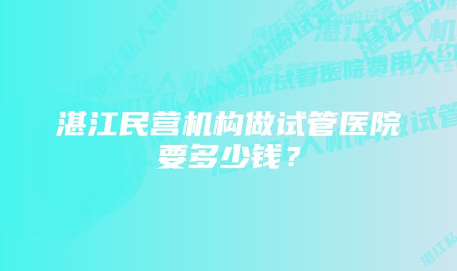 湛江民营机构做试管医院要多少钱？