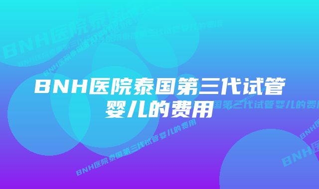 BNH医院泰国第三代试管婴儿的费用