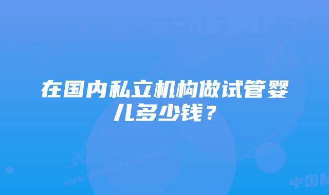 在国内私立机构做试管婴儿多少钱？