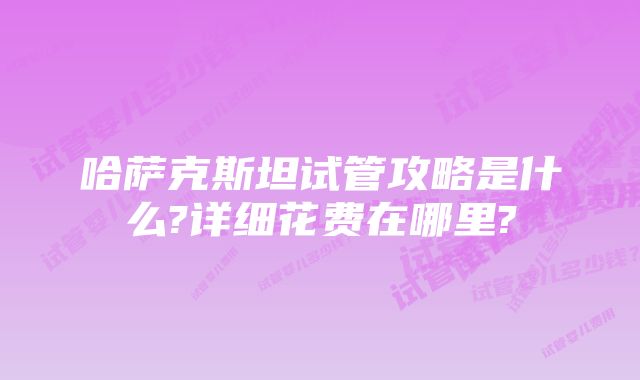 哈萨克斯坦试管攻略是什么?详细花费在哪里?