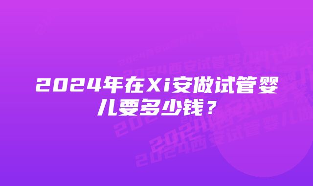 2024年在Xi安做试管婴儿要多少钱？