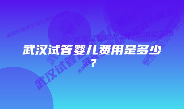 武汉试管婴儿费用是多少？