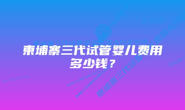 柬埔寨三代试管婴儿费用多少钱？