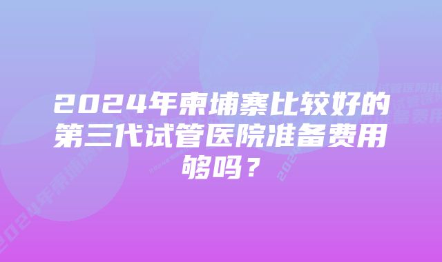 2024年柬埔寨比较好的第三代试管医院准备费用够吗？