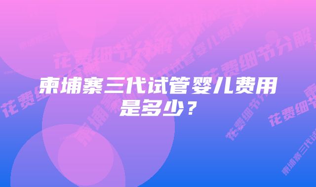 柬埔寨三代试管婴儿费用是多少？