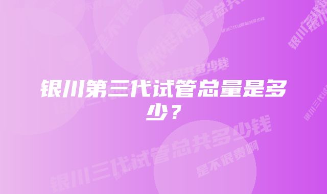 银川第三代试管总量是多少？