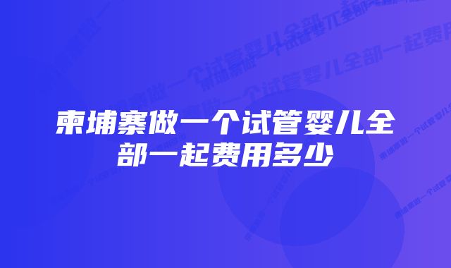 柬埔寨做一个试管婴儿全部一起费用多少