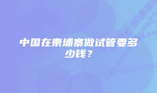 中国在柬埔寨做试管要多少钱？