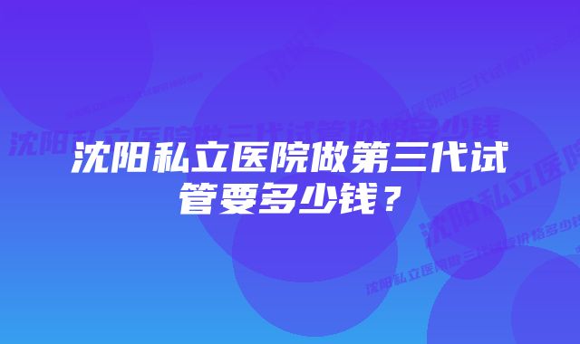 沈阳私立医院做第三代试管要多少钱？