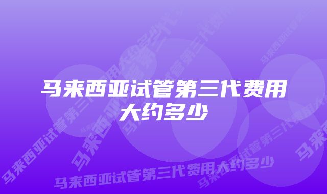 马来西亚试管第三代费用大约多少