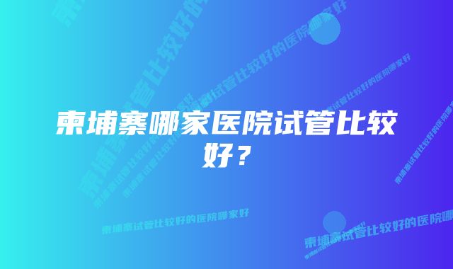 柬埔寨哪家医院试管比较好？