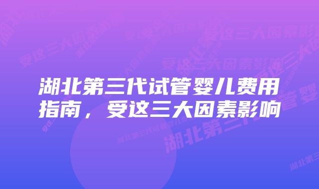 湖北第三代试管婴儿费用指南，受这三大因素影响