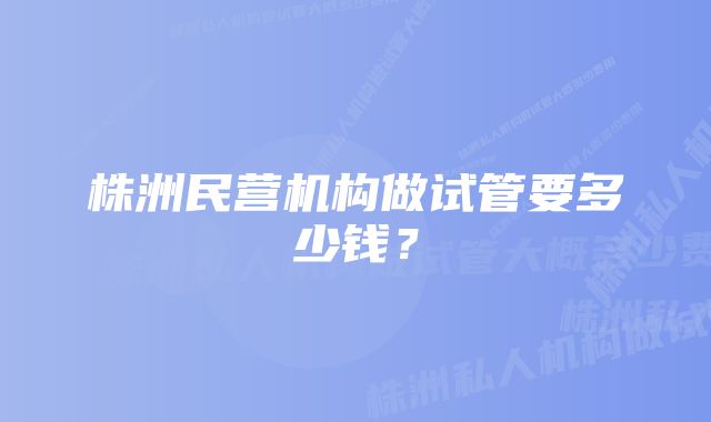 株洲民营机构做试管要多少钱？