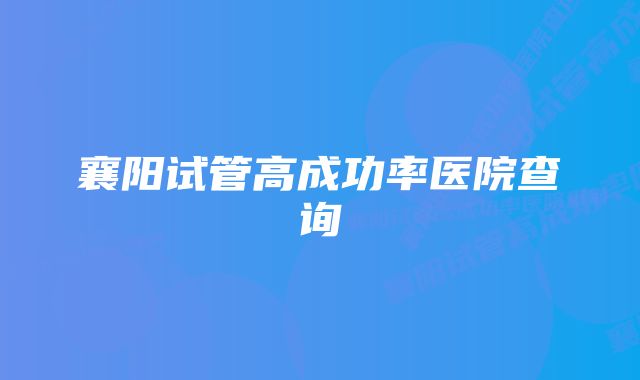 襄阳试管高成功率医院查询