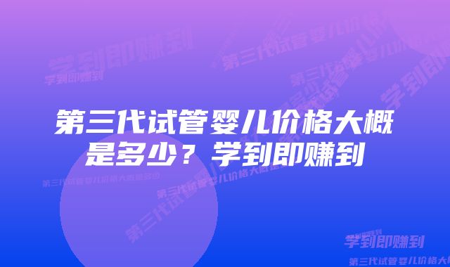 第三代试管婴儿价格大概是多少？学到即赚到