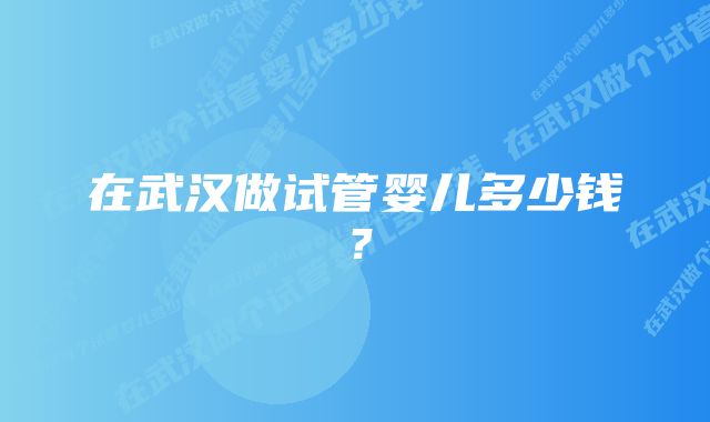 在武汉做试管婴儿多少钱？