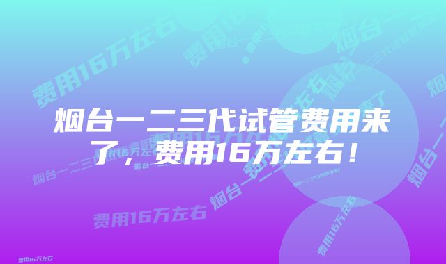 烟台一二三代试管费用来了，费用16万左右！