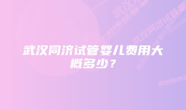 武汉同济试管婴儿费用大概多少？