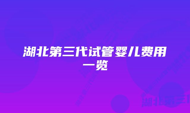 湖北第三代试管婴儿费用一览