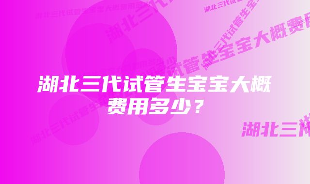 湖北三代试管生宝宝大概费用多少？