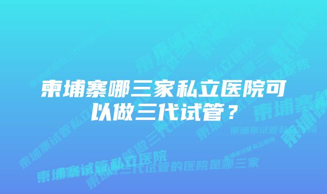 柬埔寨哪三家私立医院可以做三代试管？