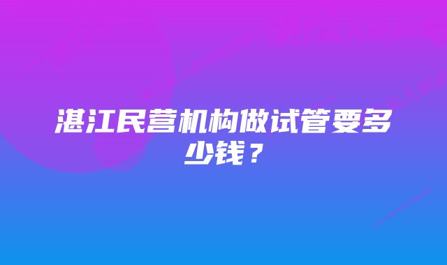 湛江民营机构做试管要多少钱？