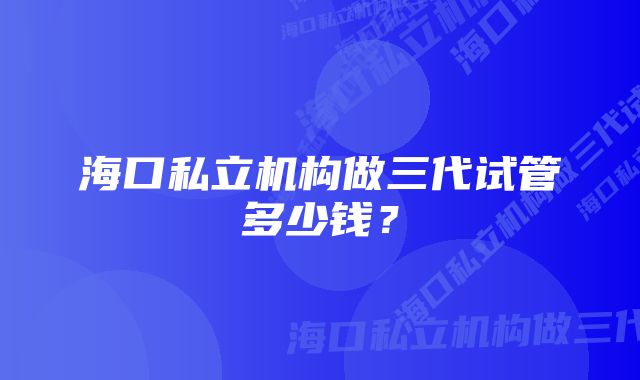 海口私立机构做三代试管多少钱？