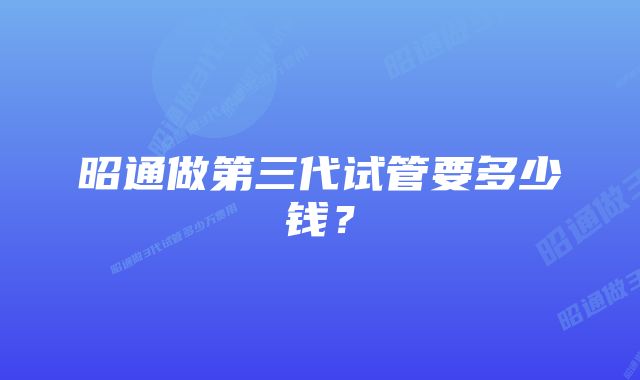 昭通做第三代试管要多少钱？