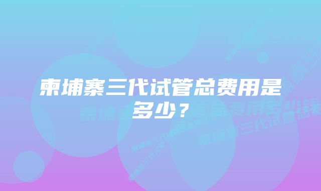 柬埔寨三代试管总费用是多少？