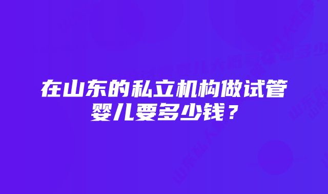 在山东的私立机构做试管婴儿要多少钱？