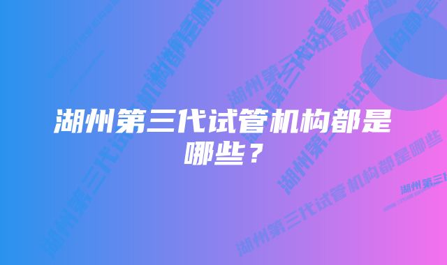 湖州第三代试管机构都是哪些？