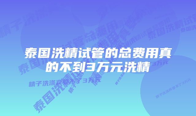 泰国洗精试管的总费用真的不到3万元洗精