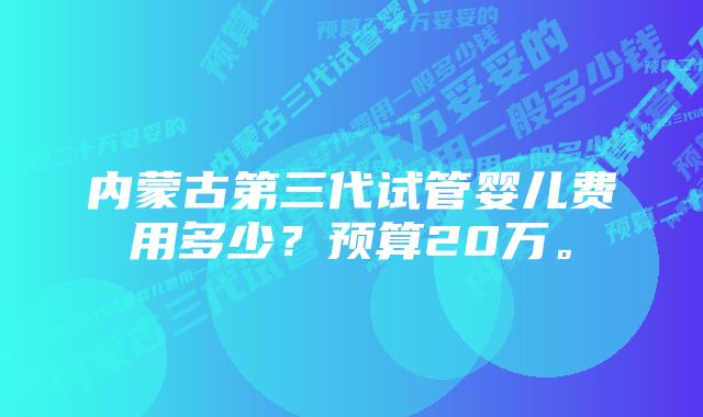 内蒙古第三代试管婴儿费用多少？预算20万。