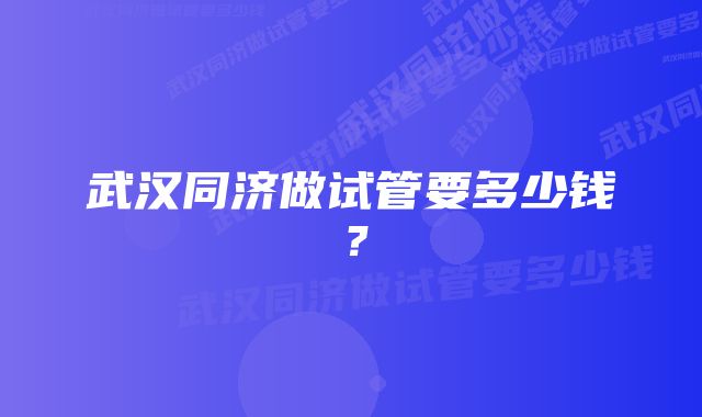 武汉同济做试管要多少钱？