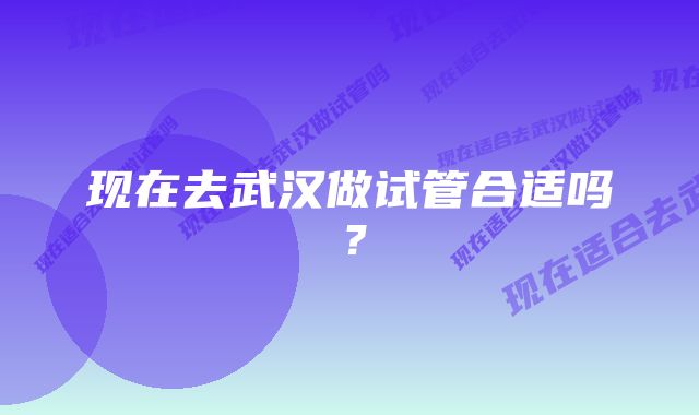 现在去武汉做试管合适吗？