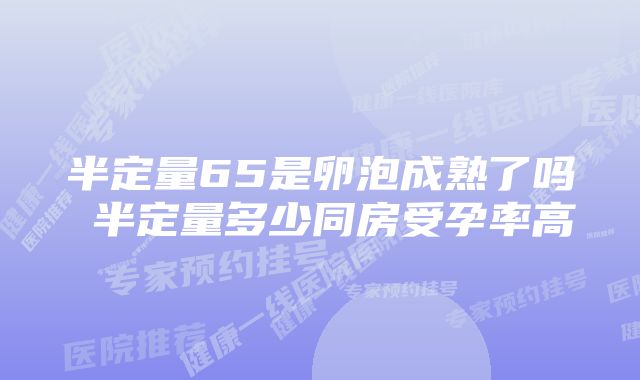 半定量65是卵泡成熟了吗 半定量多少同房受孕率高