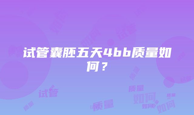 试管囊胚五天4bb质量如何？