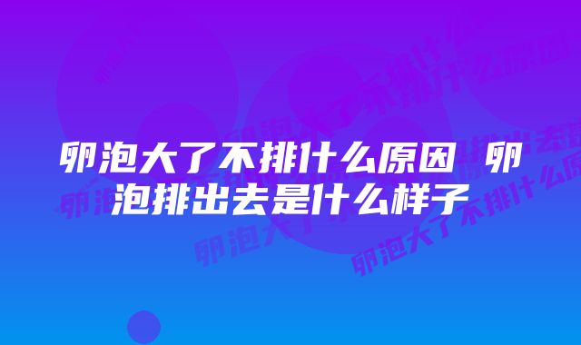 卵泡大了不排什么原因 卵泡排出去是什么样子