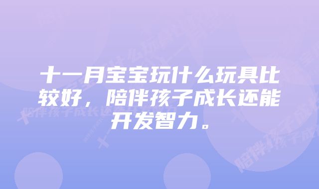 十一月宝宝玩什么玩具比较好，陪伴孩子成长还能开发智力。