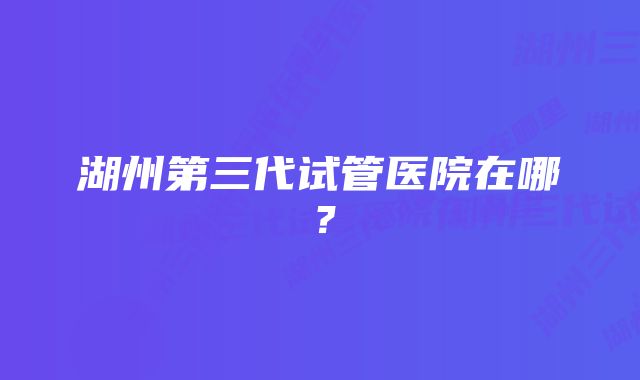 湖州第三代试管医院在哪？